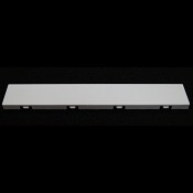 Silver-Female-Back