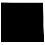 BLACK-PETAL-II-54913